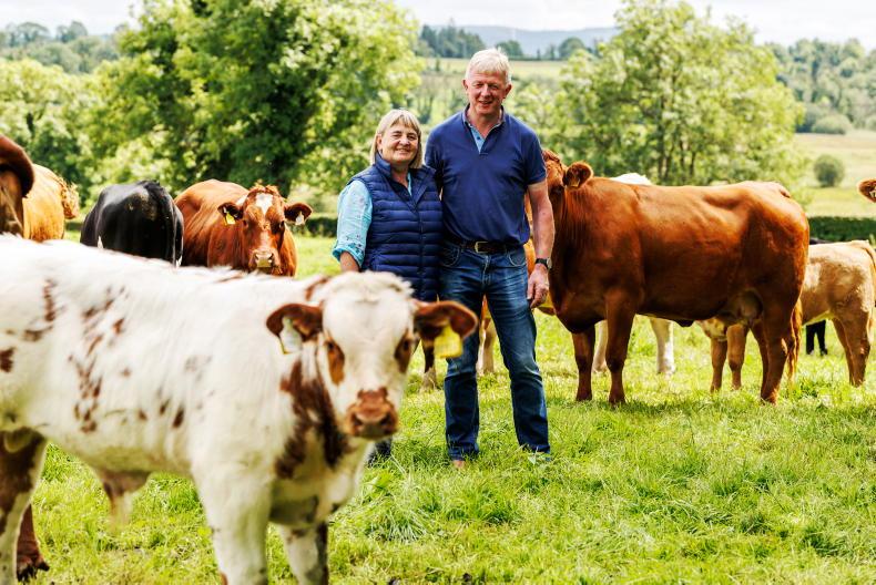 My Farming Week: Gerry, Anne and Cian Beirne, Strokestown, Co Roscommon