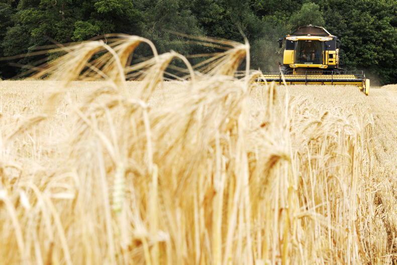 Calls for tariff on imported grain 
