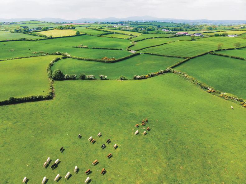 Ireland demands ring-fenced CAP budget 