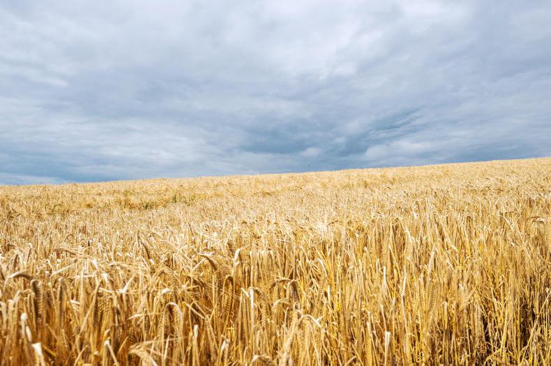Met Éireann records fourth hottest June in Irish history