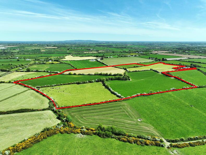 Over €23,000/ac paid for nice Wexford land