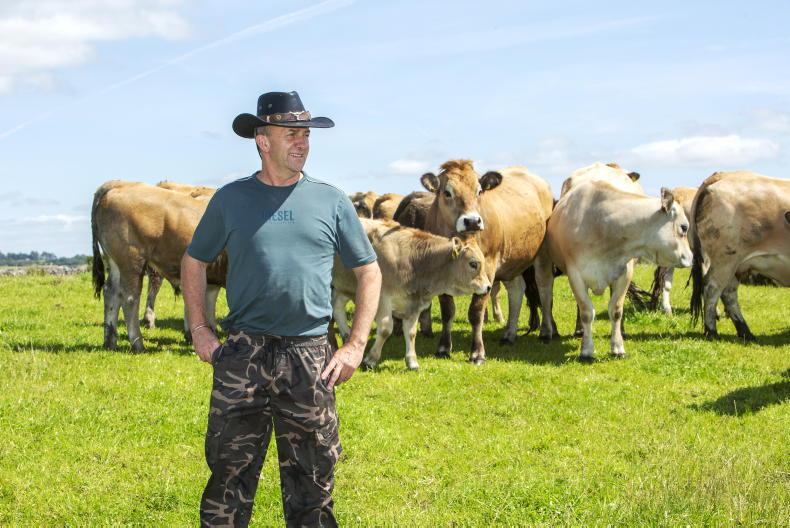 My Farming Week: Kevin O’Brien, Turloughmore, Co Galway 