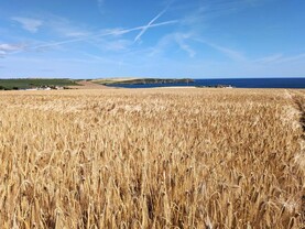 Winter barley harvest well under way