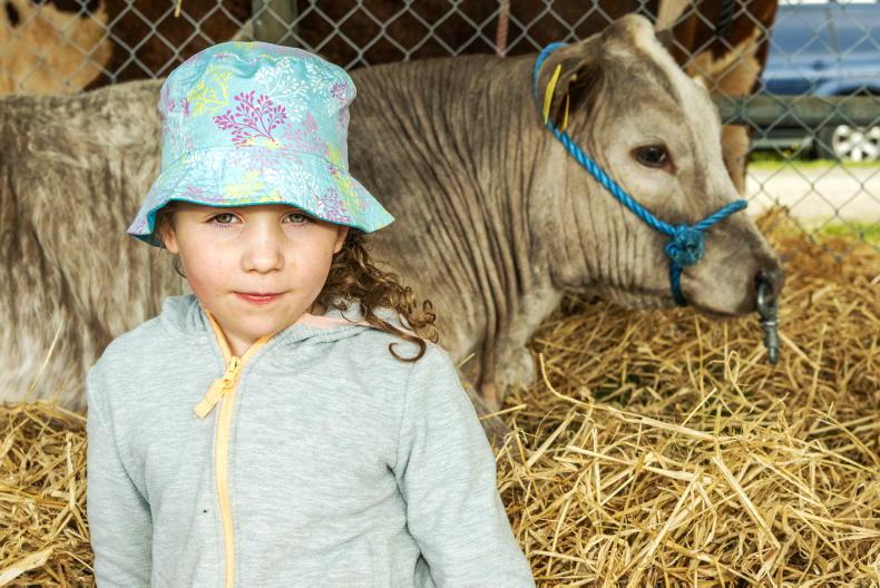 In Pictures: Dunmanway Agricultural Show 2025