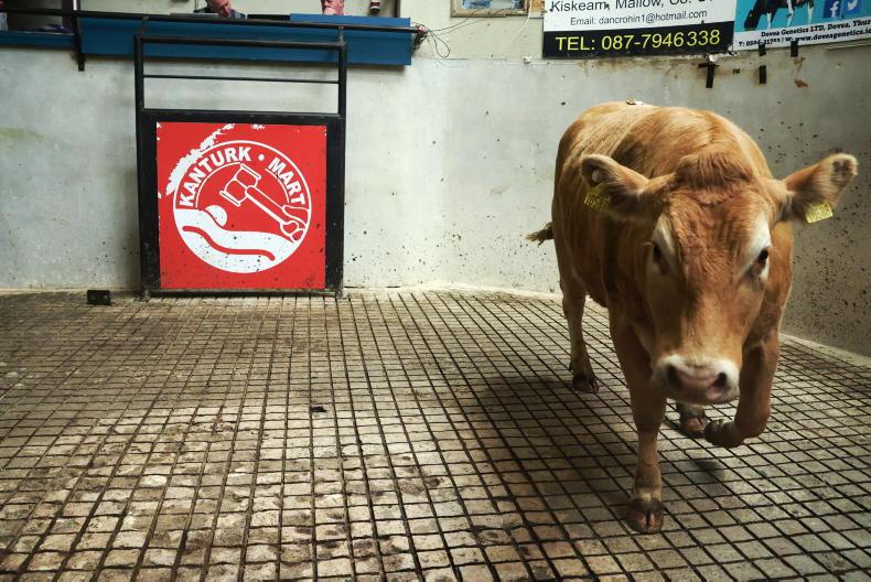 Demand drives on for forward stock in Kanturk