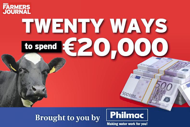 Twenty ways to spend €20,000: grazing infrastructure