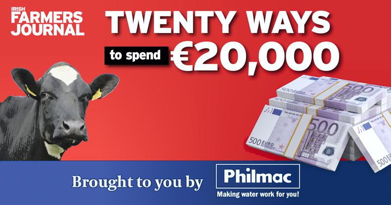 Twenty ways to spend €20,000: grazing infrastructure