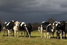 IFA urges farmers to sign European-wide petition for robust CAP