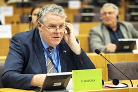 Assessments under Habitats Directive were ‘never needed’ – Mullooly