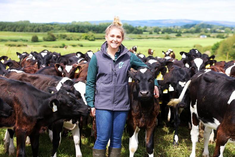 My Farming Week: Sarah Humphries, Five Rivers, Southland, New Zealand