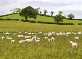 Commission launches nature credits roadmap