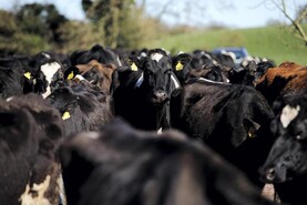 Nitrates goalposts have been ‘unfairly shifted’ – DII