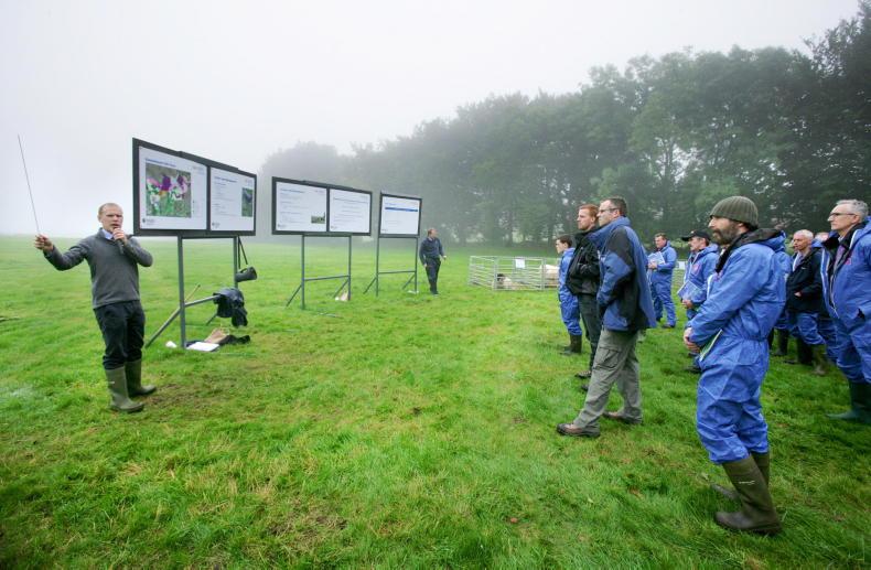 Lessons to be learned at CAFRE Hill Farm