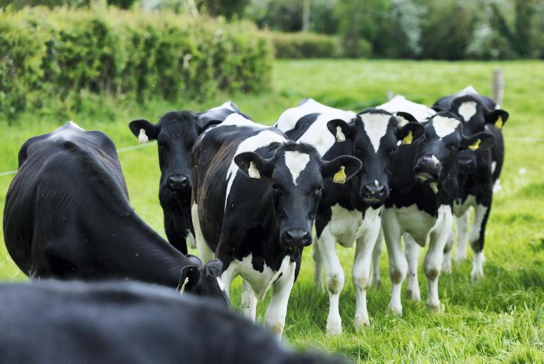 Derogation goalposts change