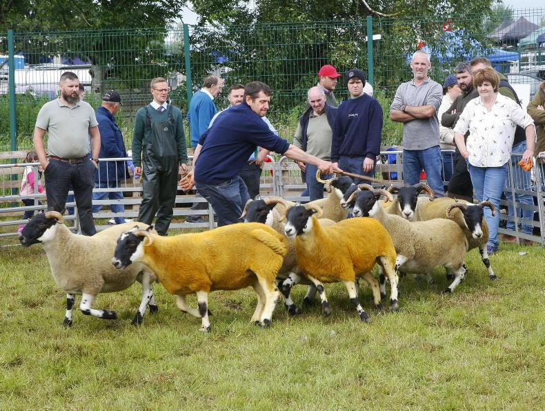 Northern Ireland diary of events