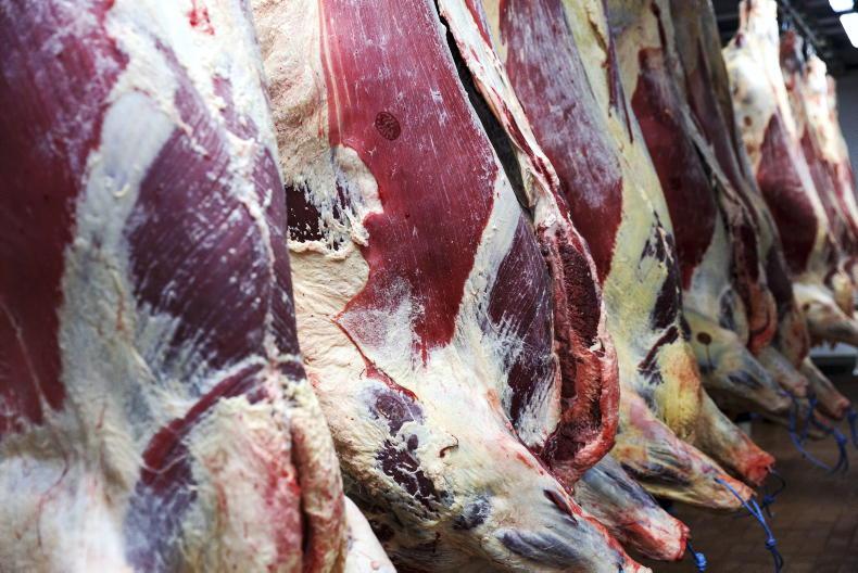 Big rebound for beef quotes    