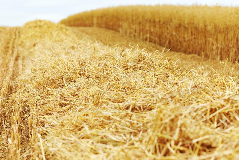 Editorial: harvest - what about the price?