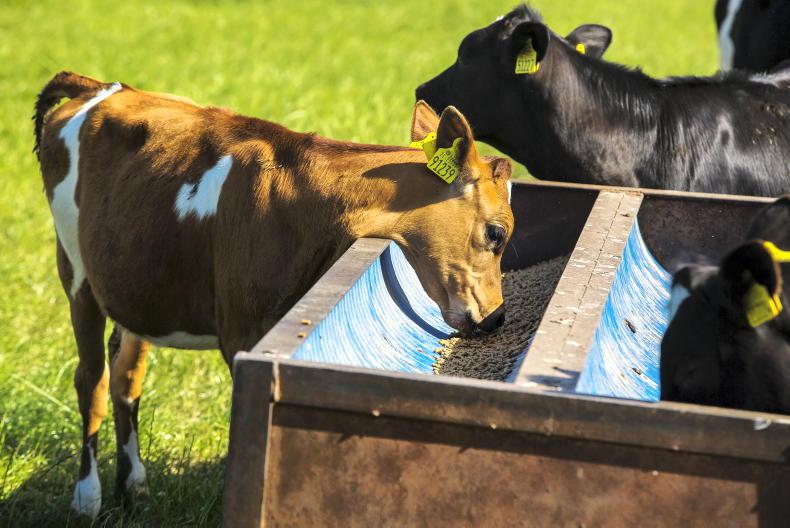 Irish agri-food sustainability start-up receives €680,000 in funding