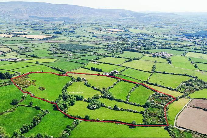 Auctions: Carlow holding sells at auction for €500,000