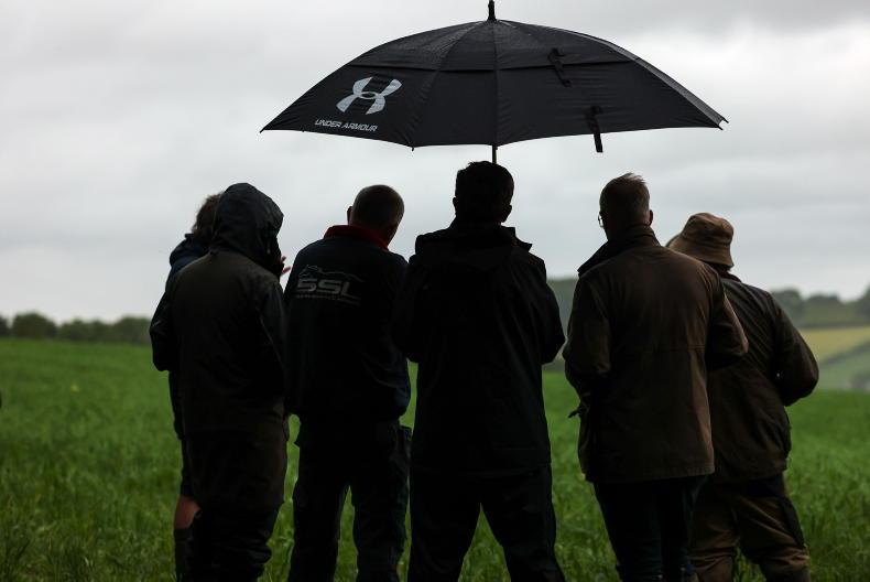 Dairy Management: rain is welcome but growth issues will persist