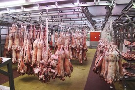 Sheep price update: pressure limiting numbers coming on stream