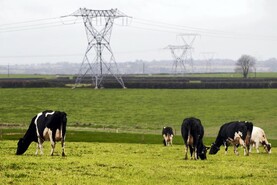 New private wires rules may spell opportunities for farmers 
