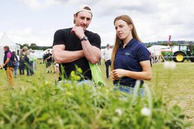 Watch: Ireland's farms bask in the summer warmth