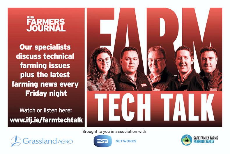 Farm Tech Talk: easy-calving sucklers, derogation shock and Tullamore Farm 