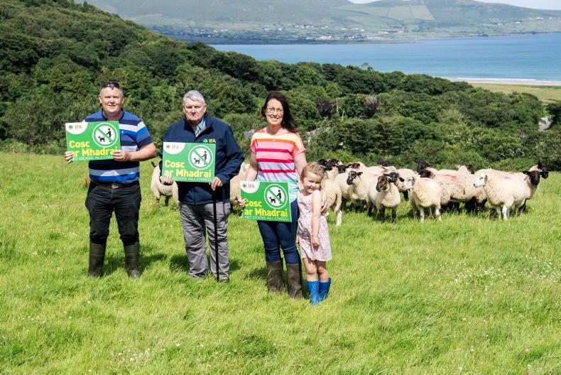 Breaking the stigma key to battling the growing mental health challenge – IFA 