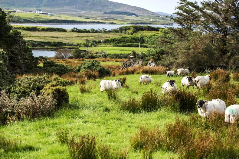 Gardaí investigating removal of fire warning sign on Achill