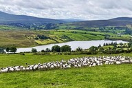 Farmer Writes: Making the most of the weather (app)