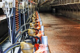 No reason for co-ops to cut June milk prices – ICMSA 