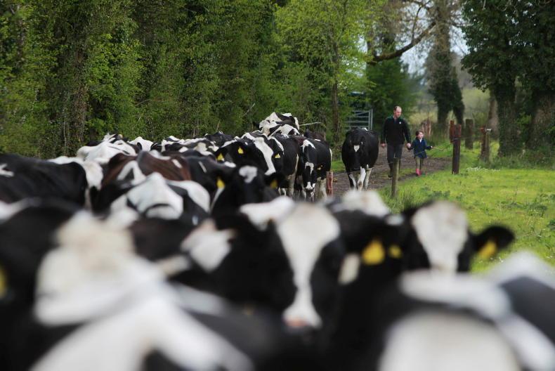 Milk agency seeks 35% increase in milk levy