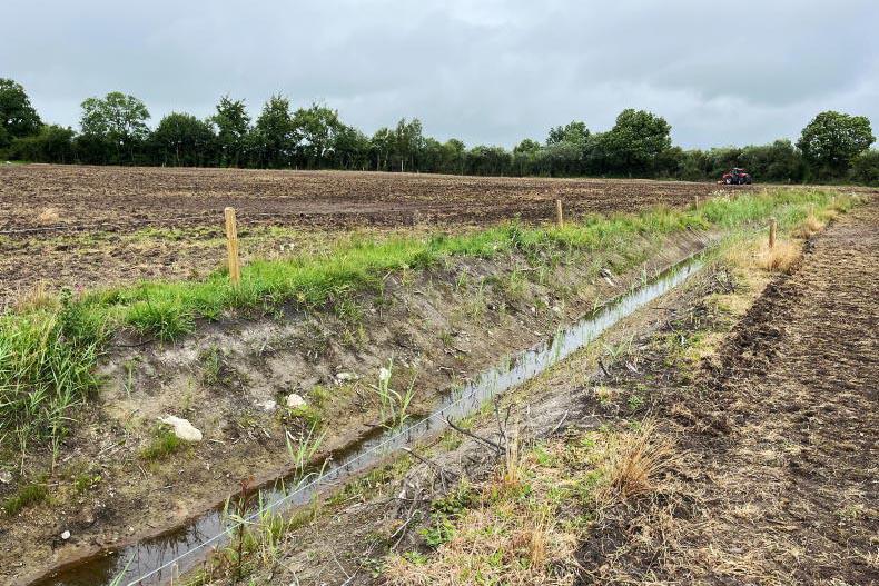 Is ryegrass the only option on land that floods?