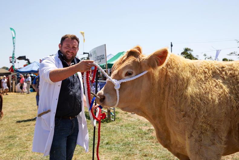 In Pictures: Bannow and Rathangan Agricultural Show 2025