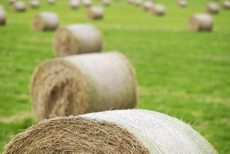 Home Farm:  breathtaking cost of store cattle