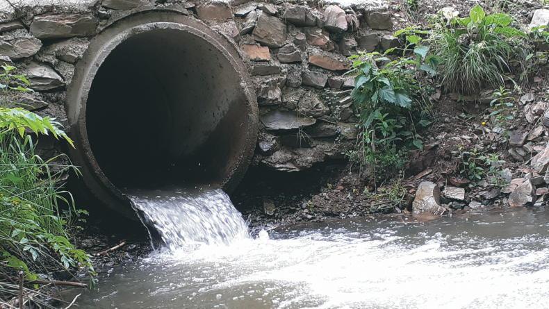 Dempsey at Large:  biosolids – a complex risk 