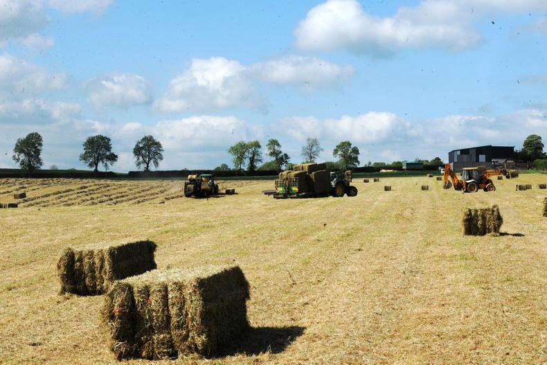 Share your views: how much is hay and straw making in your area?