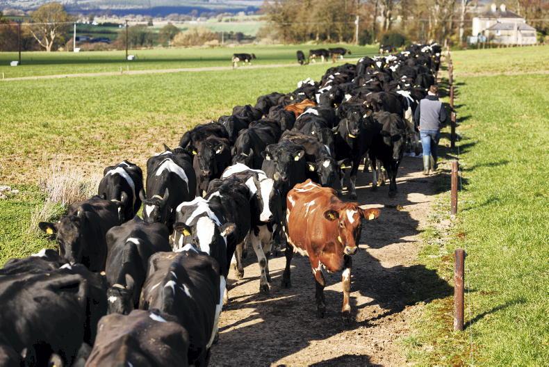 Farmer views: 'Loss of derogation will cause friction among farmers'
