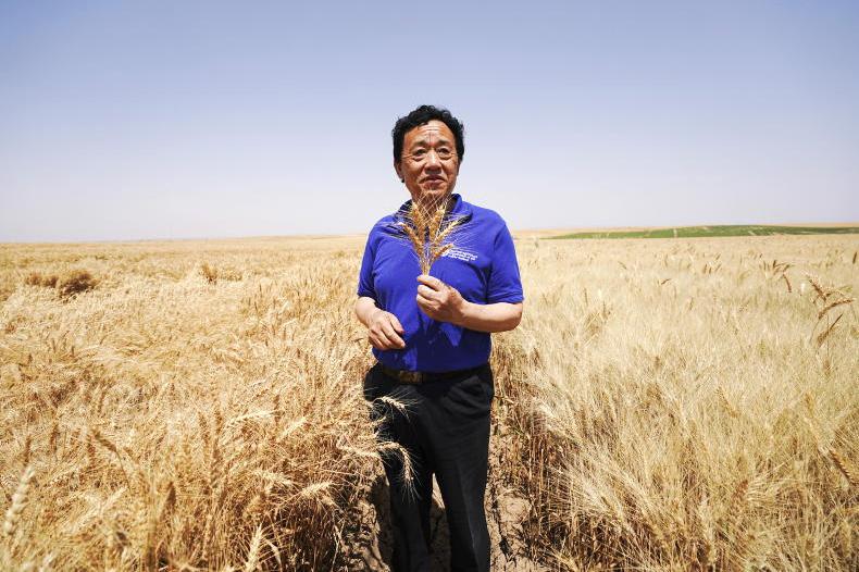Ending hunger and boosting food security