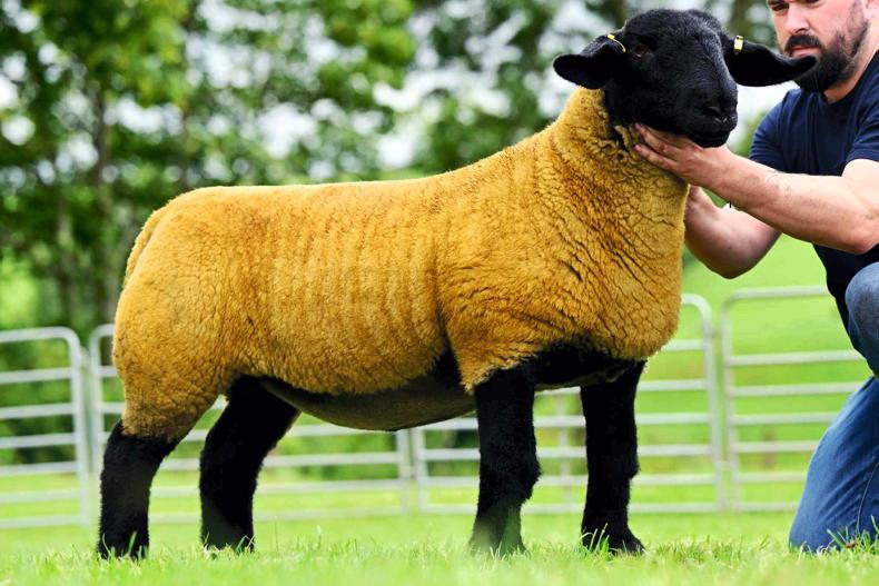 Rockdale Due Lipa tops the limited edition online sale at £4,650
