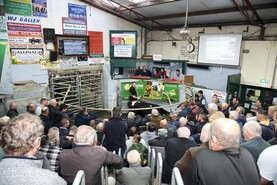 Cattle prices up 48% in 2025 – CSO