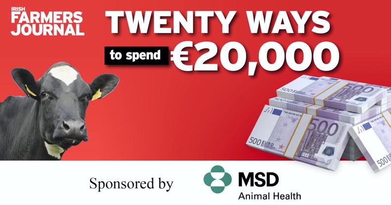 Twenty ways to spend €20,000: automated heat detection aids
