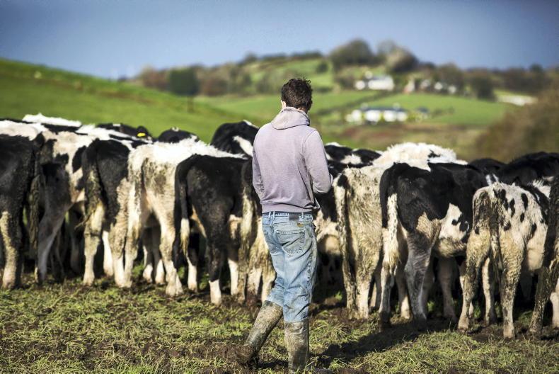 Funding for succession and retirement schemes in next CAP