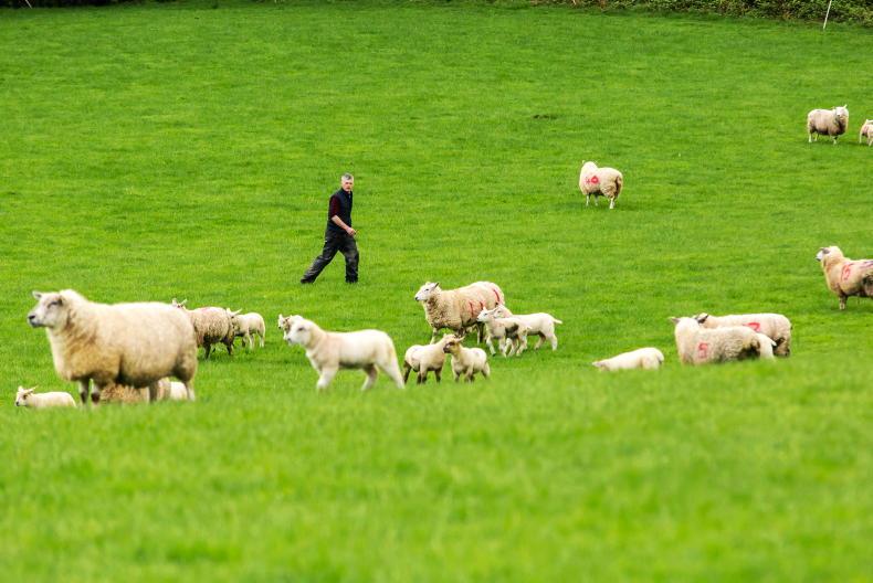 End of two-pillar CAP is a threat to food security - Sinn Féin