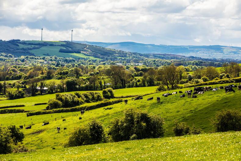 Farm relief costs could be covered in next CAP