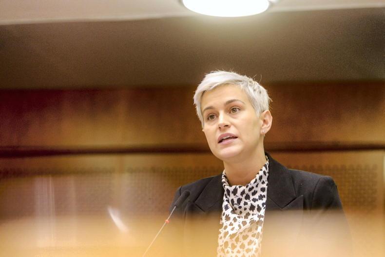 Opinion: Maria Walsh: risk of further cuts to CAP budget 