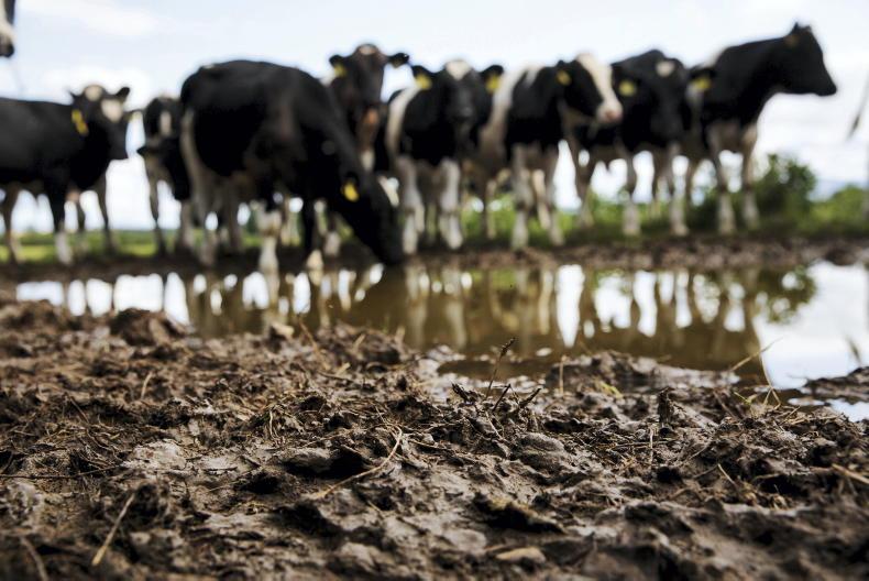 Grass+ Dairy: rain helps some, hampers others