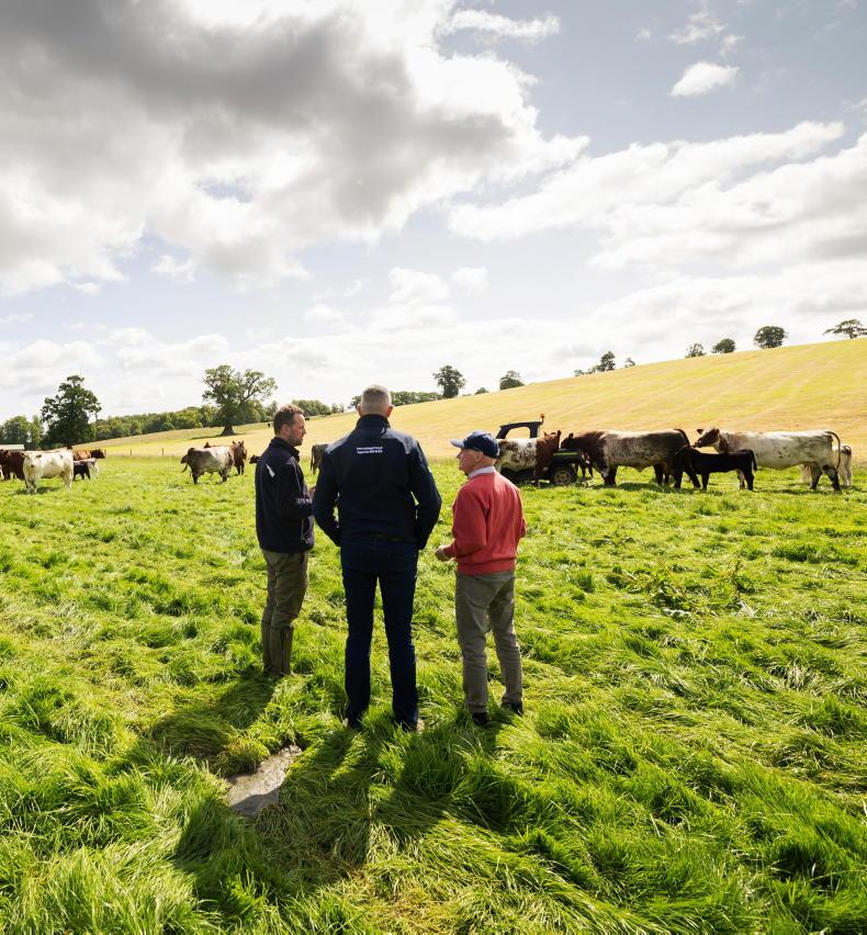 New Farming in Partnerships scheme opens