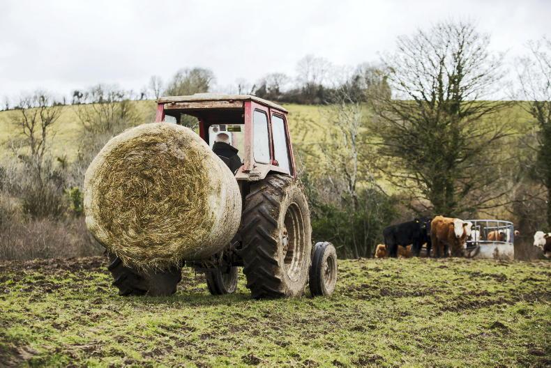 Farmers ‘knocked sideways’ by possible CAP merger - Aontú